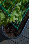 green basics jardiniere treillis 80cm living noir